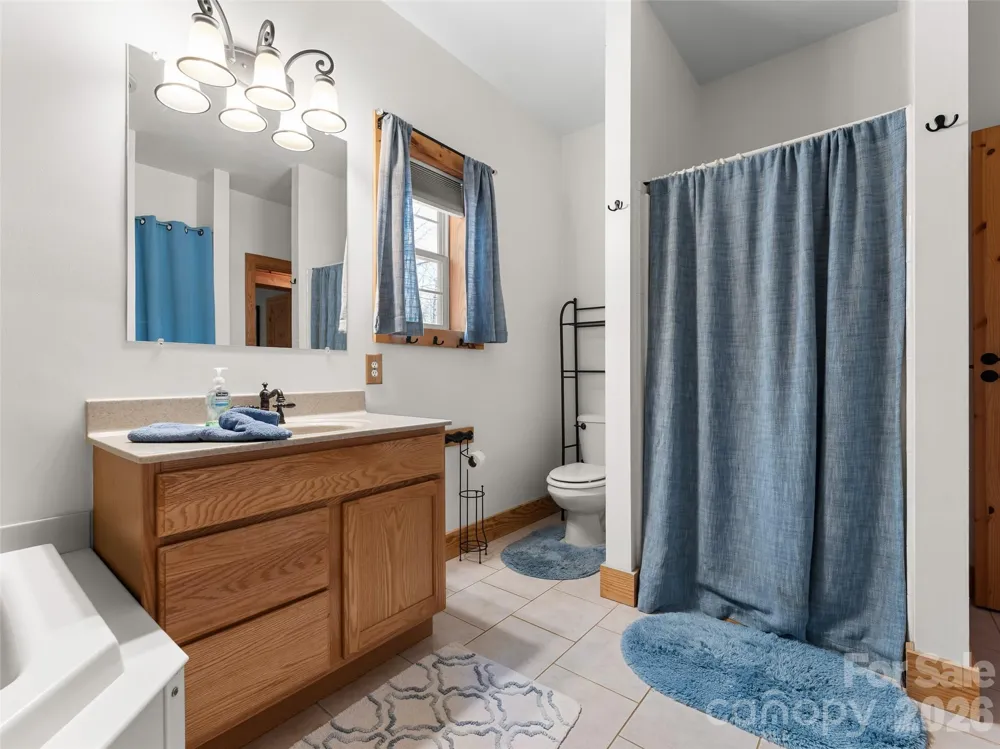 462 Deep Woods Lane Saluda, NC 28773