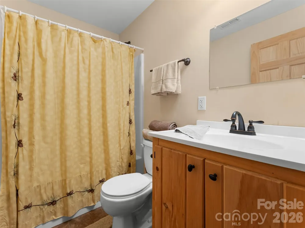 462 Deep Woods Lane Saluda, NC 28773