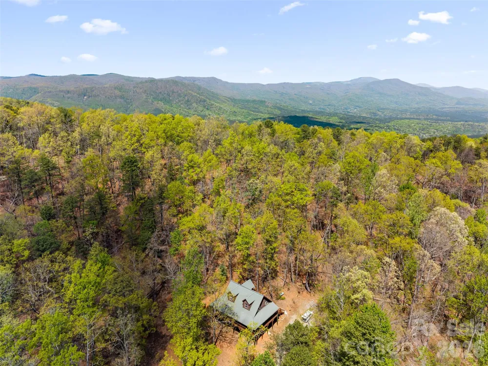 462 Deep Woods Lane Saluda, NC 28773