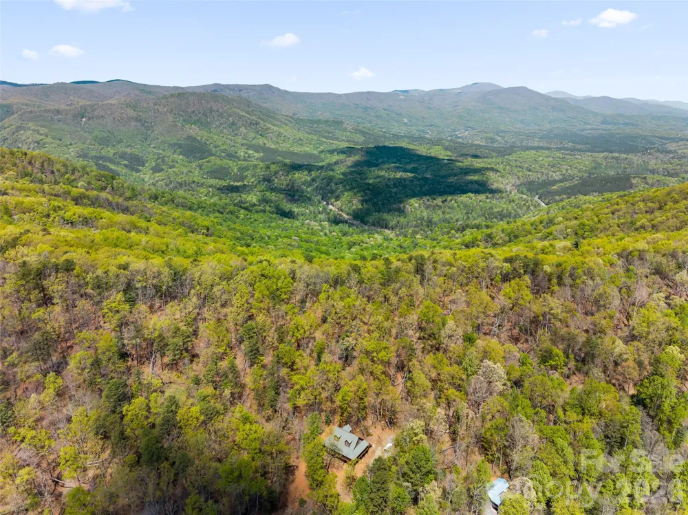 462 Deep Woods Lane Saluda, NC 28773