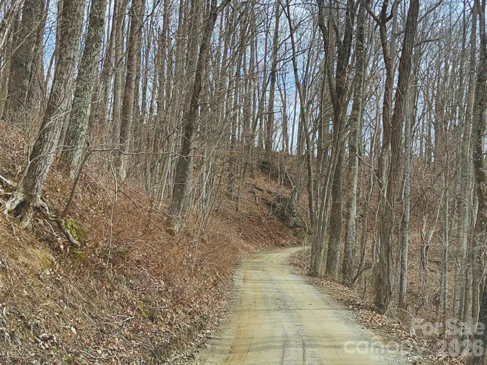 135 Gavin Glen Road Weaverville, NC 28787