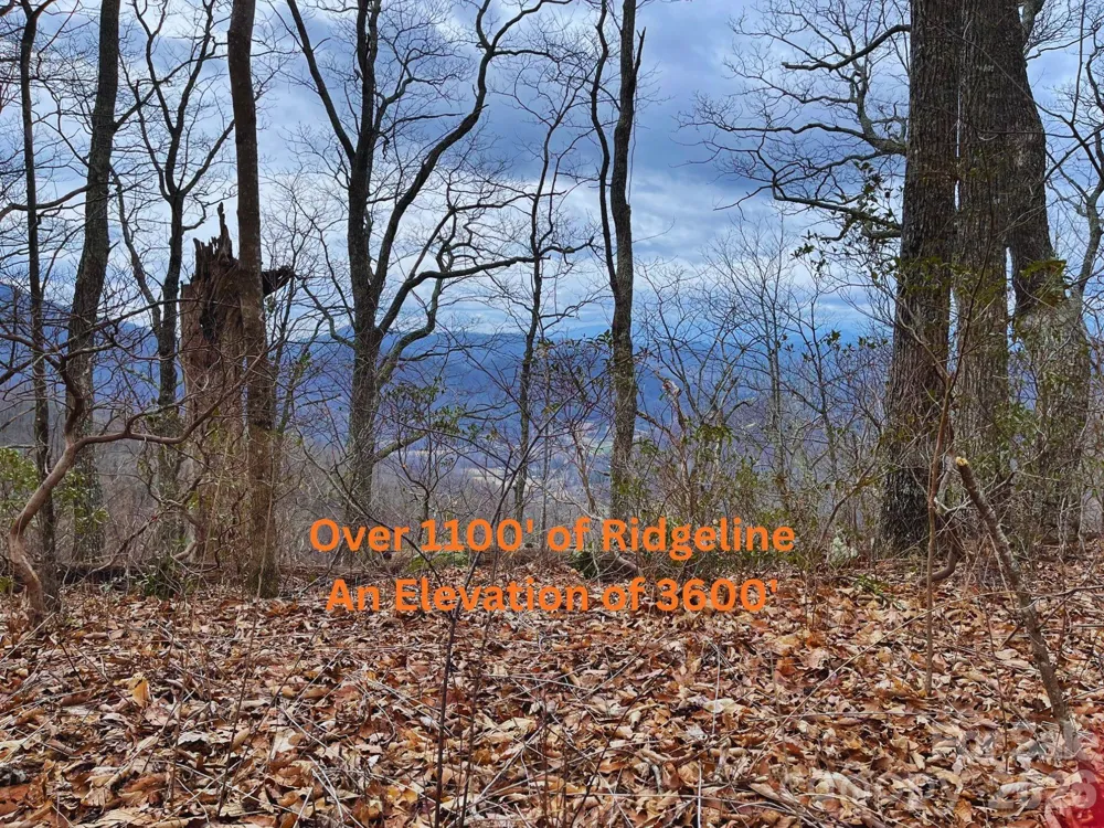 135 Gavin Glen Road Weaverville, NC 28787