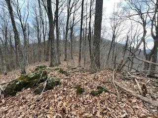 135 Gavin Glen Road Weaverville, NC 28787