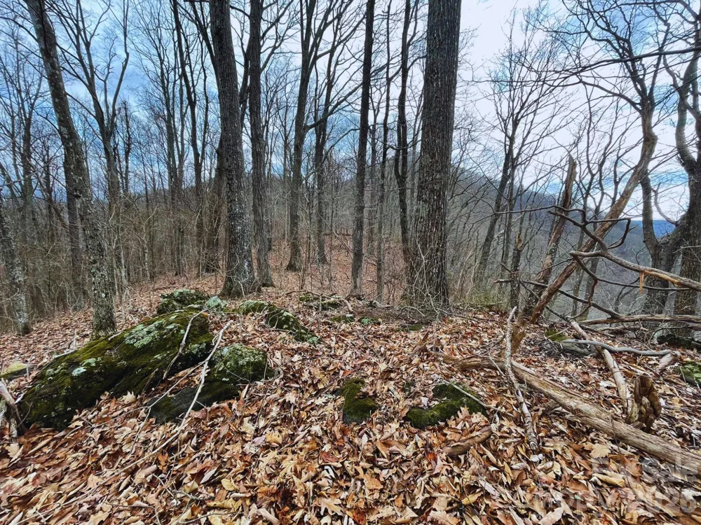 135 Gavin Glen Road Weaverville, NC 28787