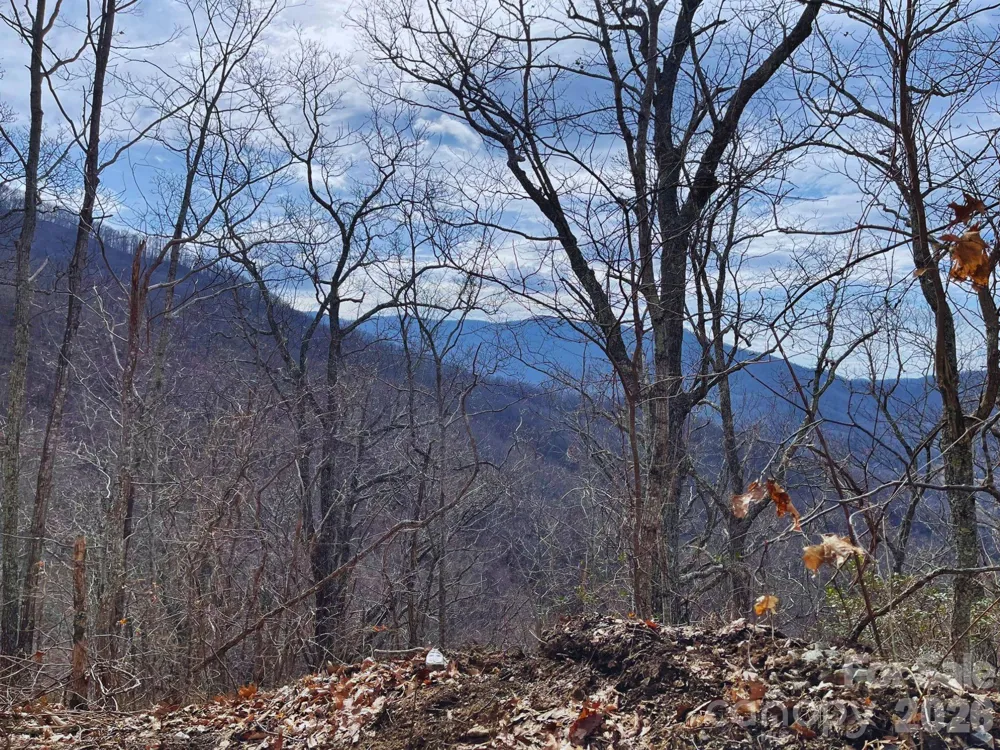 135 Gavin Glen Road Weaverville, NC 28787