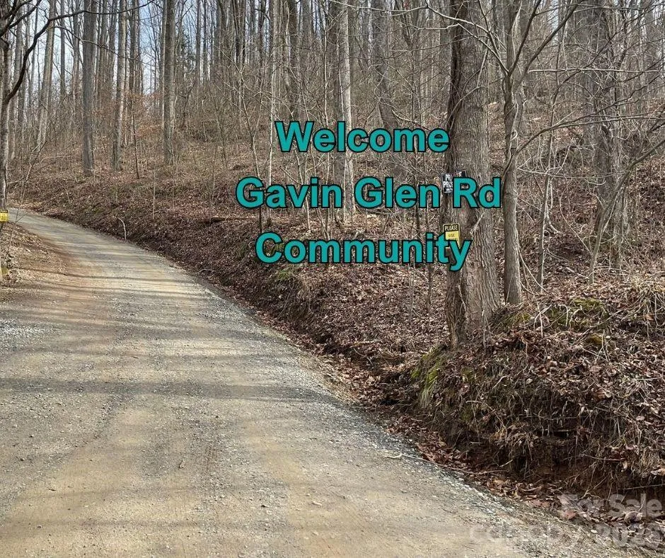 125 Gavin Glen Road Weaverville, NC 28787