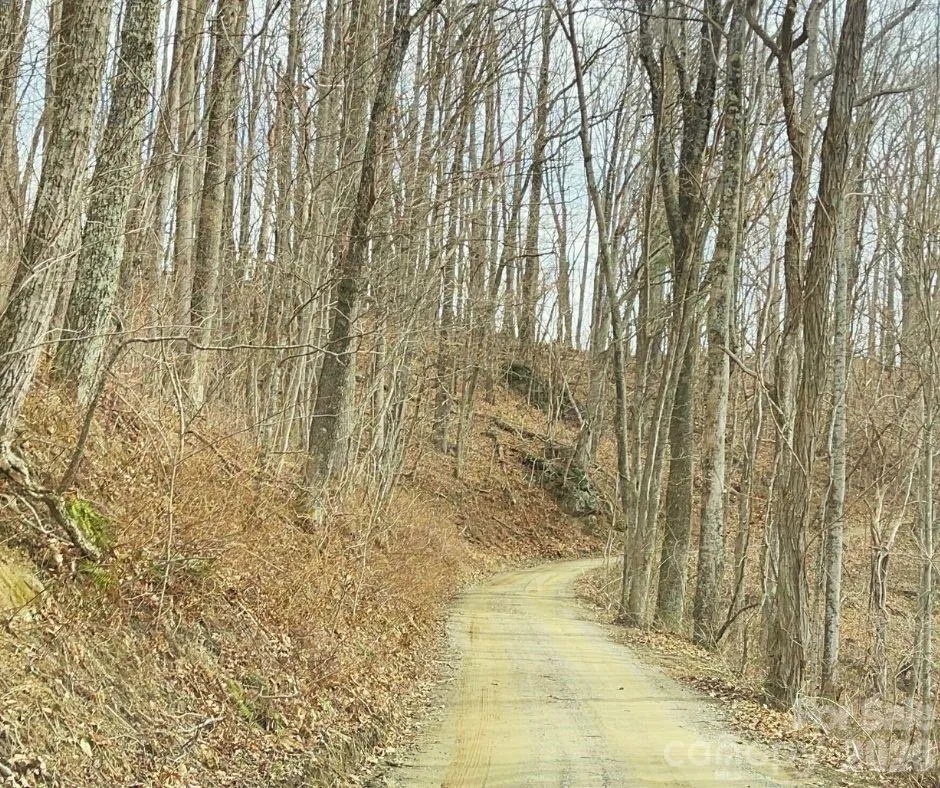 125 Gavin Glen Road Weaverville, NC 28787