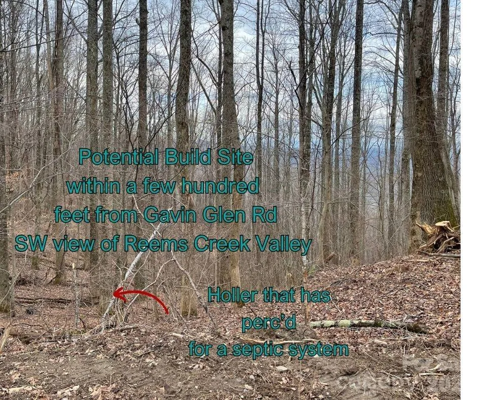 125 Gavin Glen Road Weaverville, NC 28787