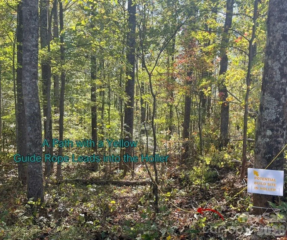 125 Gavin Glen Road Weaverville, NC 28787
