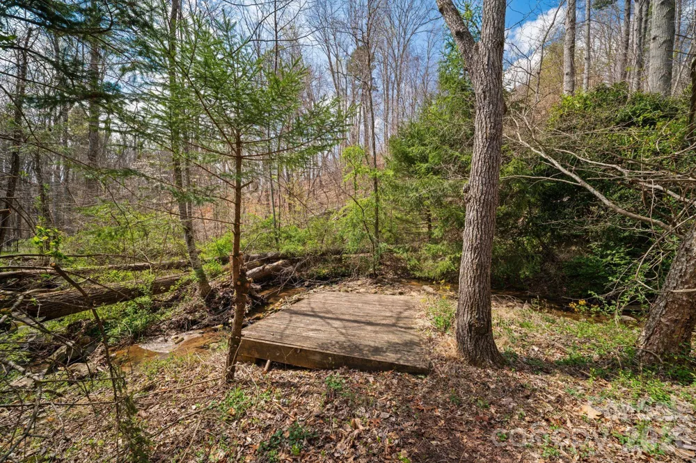 104 Black Hawk Ridge Weaverville, NC 28787