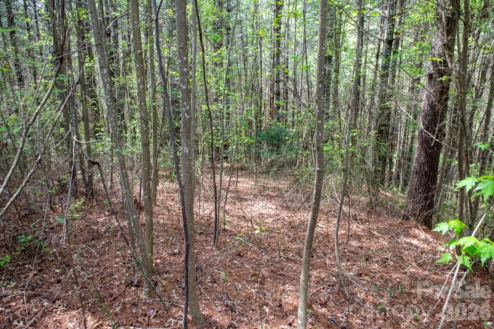000 Collette Ridge Circle #168 Collettsville, NC 28611