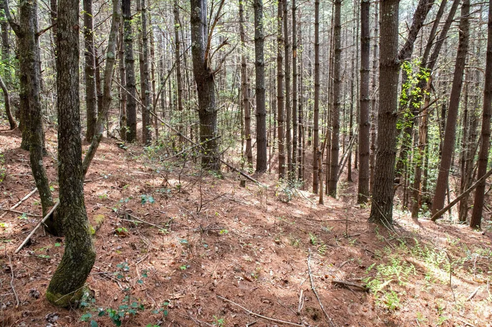 000 Collette Ridge Circle #168 Collettsville, NC 28611