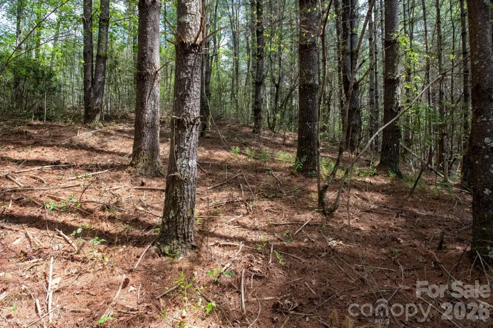 000 Collette Ridge Circle #168 Collettsville, NC 28611