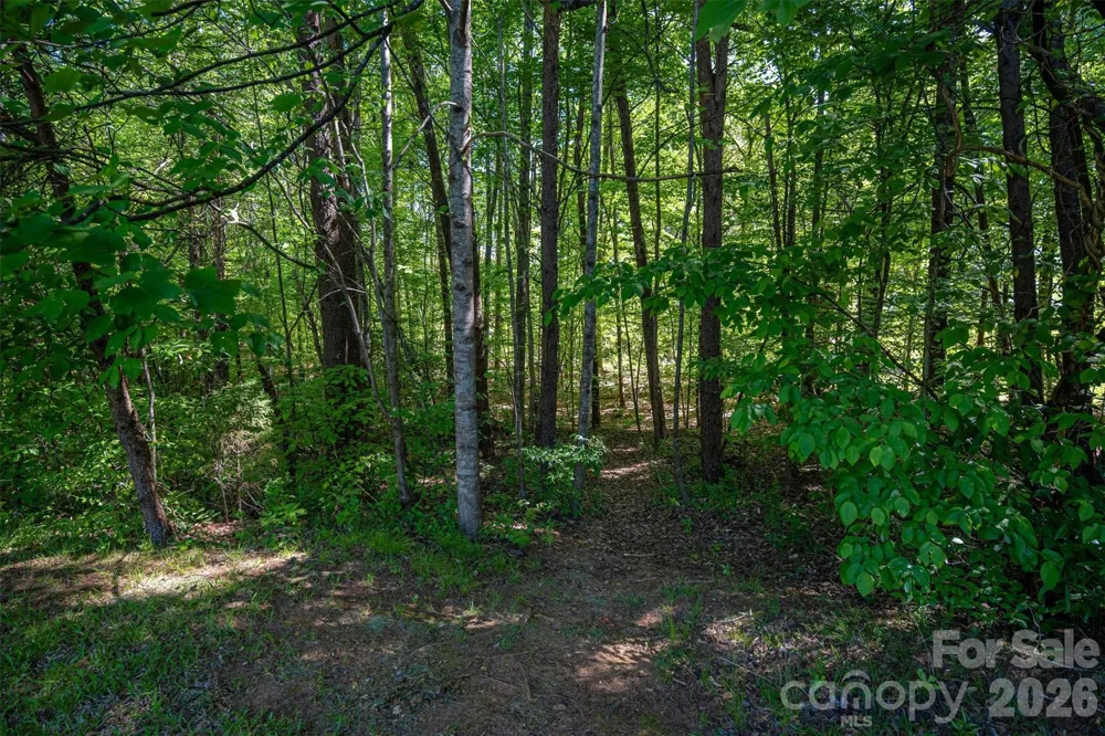 1725 Bay Head Court Catawba, NC 28609