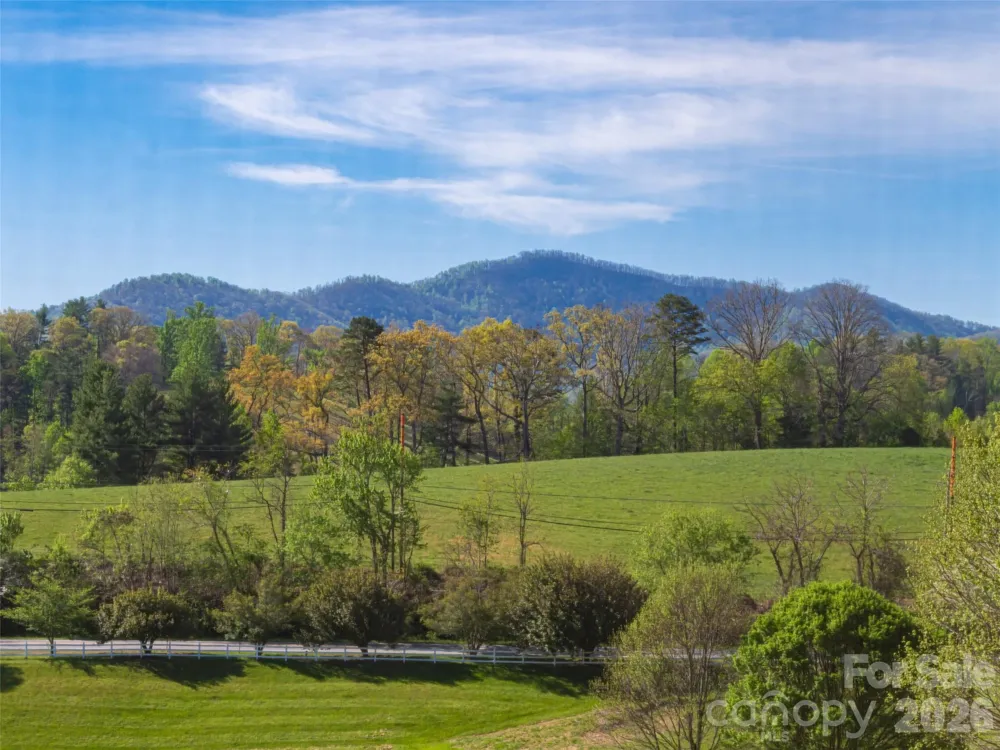 17 Dreambird Drive Leicester, NC 28748