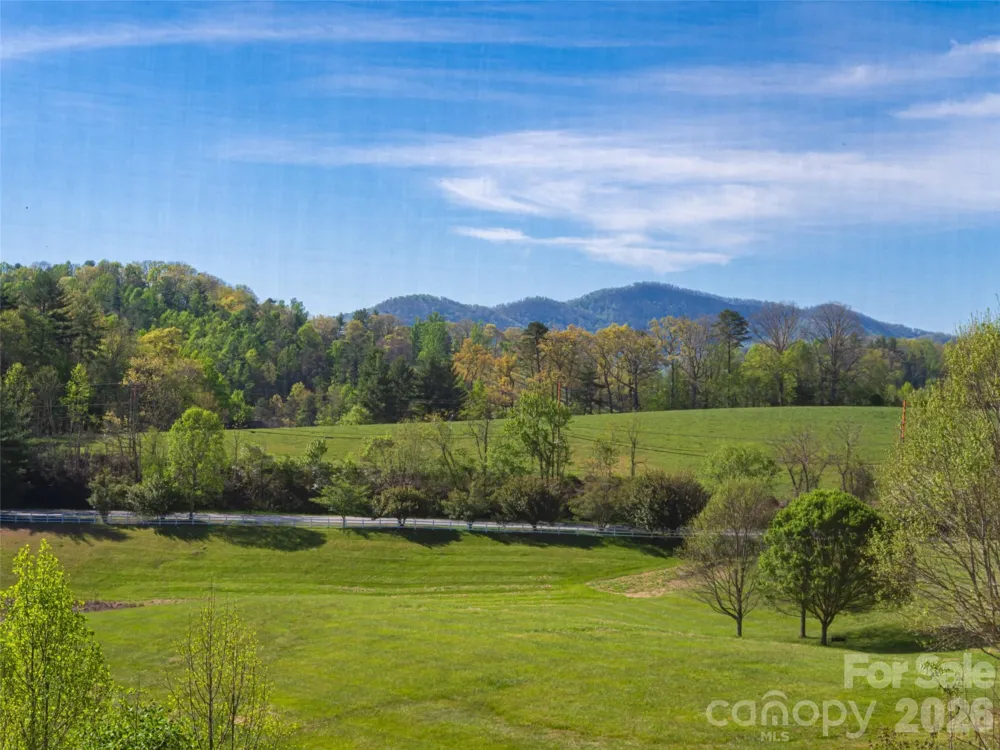 17 Dreambird Drive Leicester, NC 28748