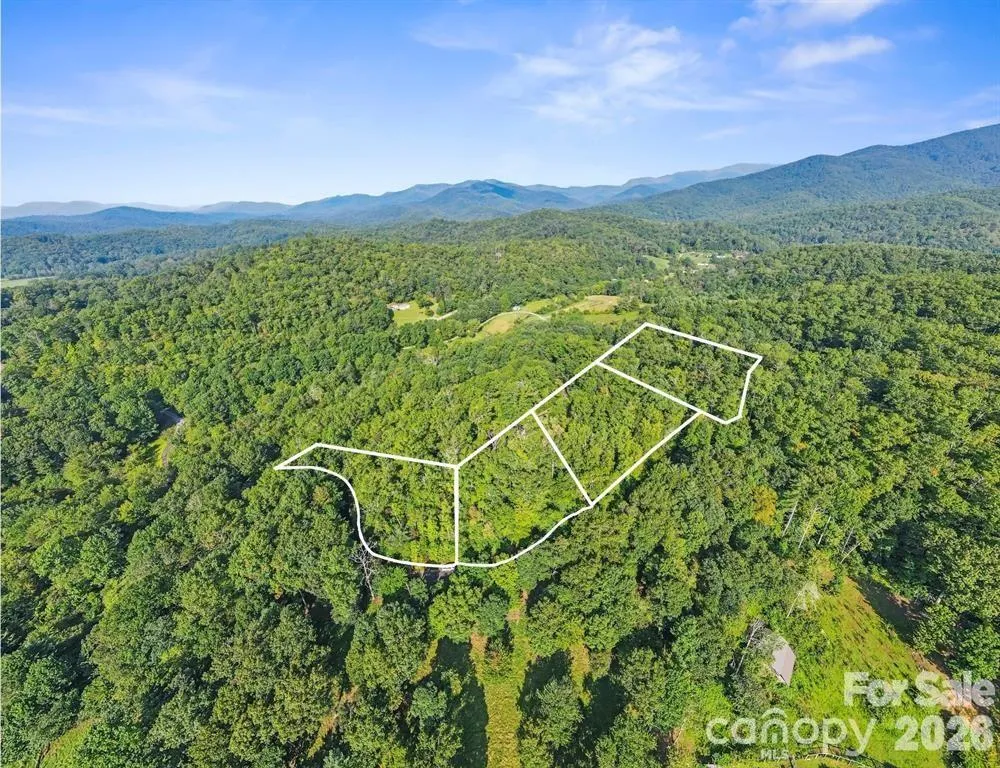 TBD Barts Branch Drive #14 Balsam Grove, NC 28708