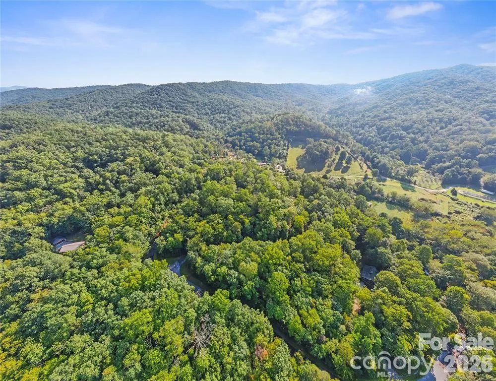 TBD Barts Branch Drive #14 Balsam Grove, NC 28708