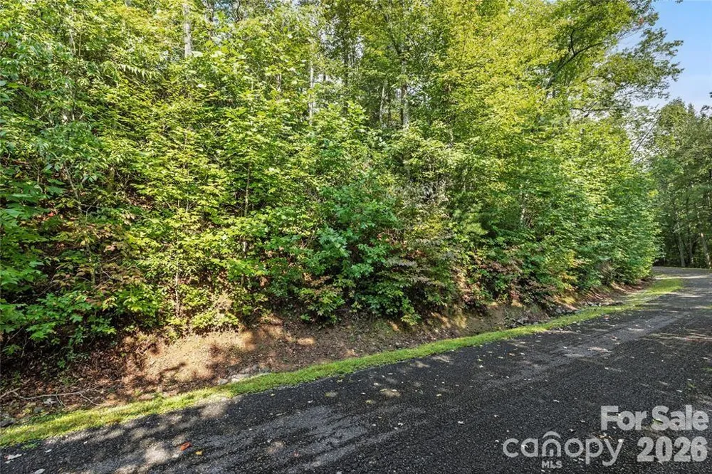 TBD Barts Branch Drive #14 Balsam Grove, NC 28708