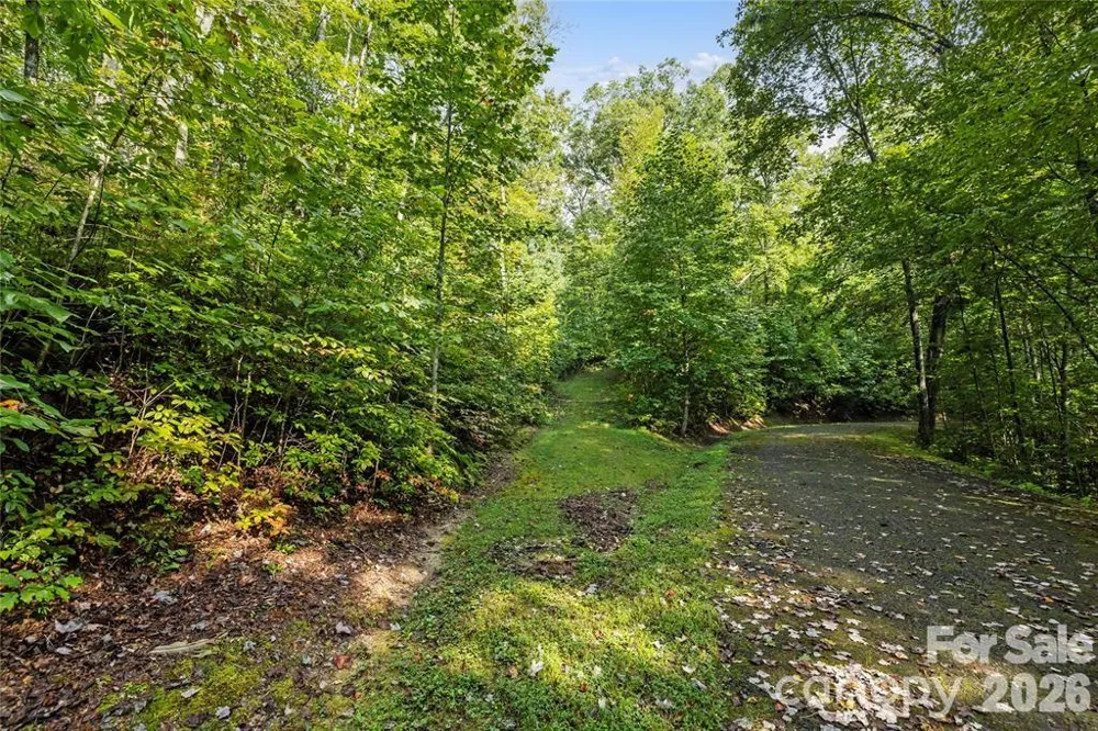TBD Barts Branch Drive #14 Balsam Grove, NC 28708
