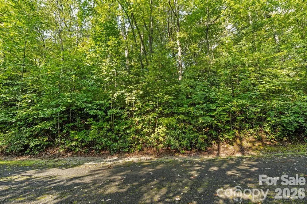 TBD Barts Branch Drive #14 Balsam Grove, NC 28708