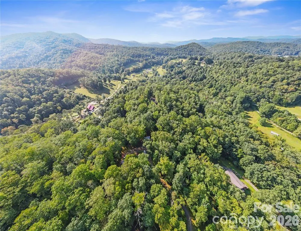 TBD Barts Branch Drive #14 Balsam Grove, NC 28708