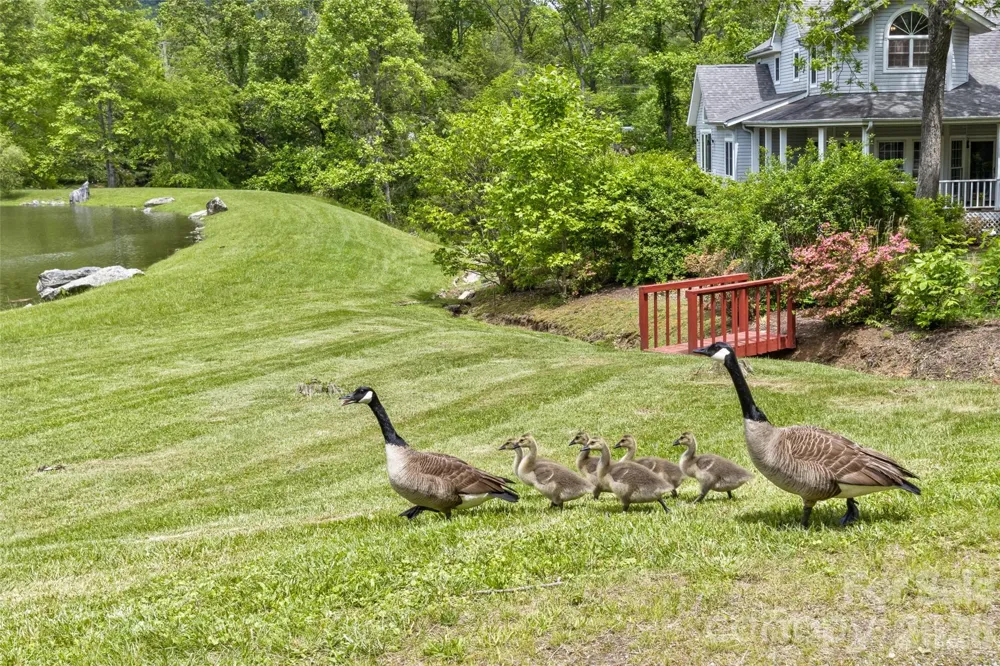 25 Windsong Drive Fairview, NC 28730