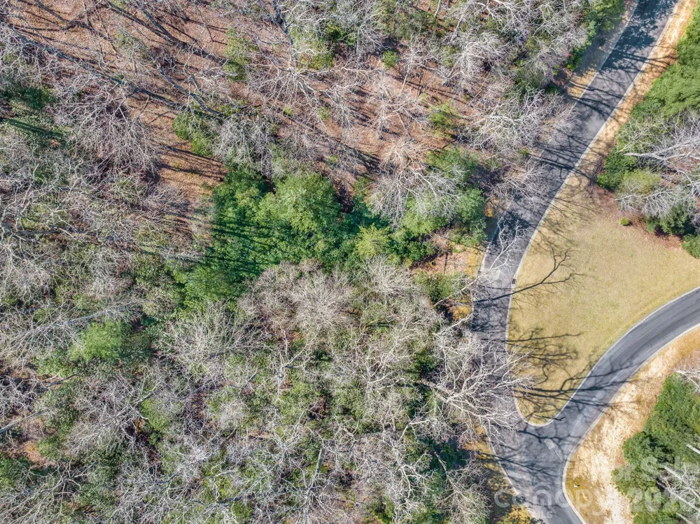 116 May Fly Lane #116 Horse Shoe, NC 28742