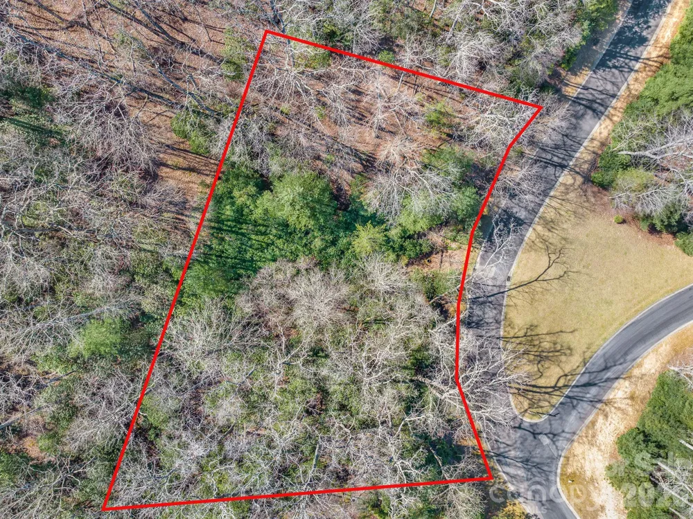 116 May Fly Lane #116 Horse Shoe, NC 28742