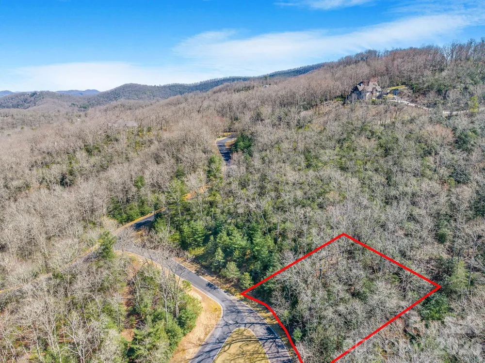 116 May Fly Lane #116 Horse Shoe, NC 28742