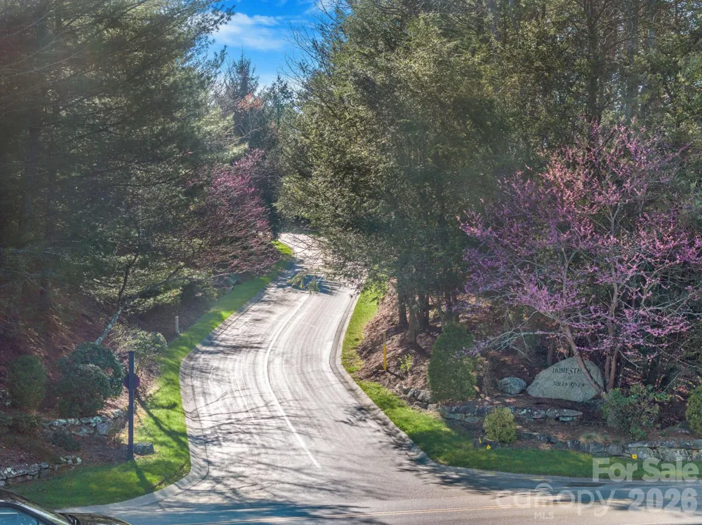 116 May Fly Lane #116 Horse Shoe, NC 28742