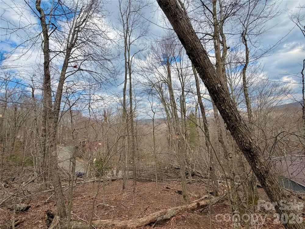 218 lake Road Beech Mountain, NC 28604