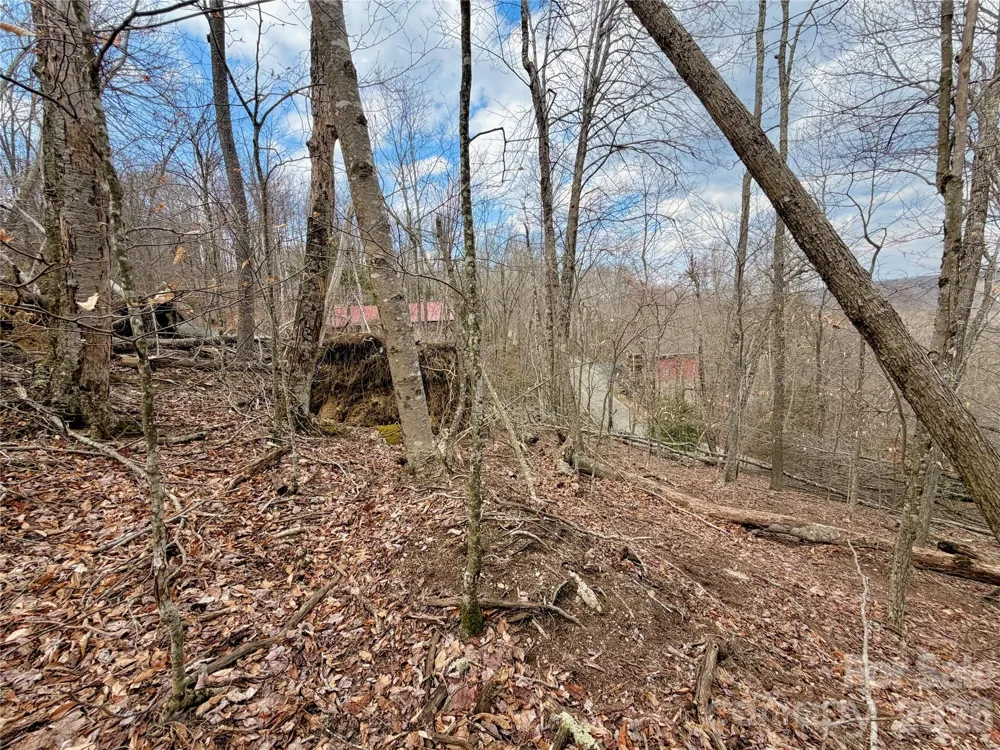 218 lake Road Beech Mountain, NC 28604