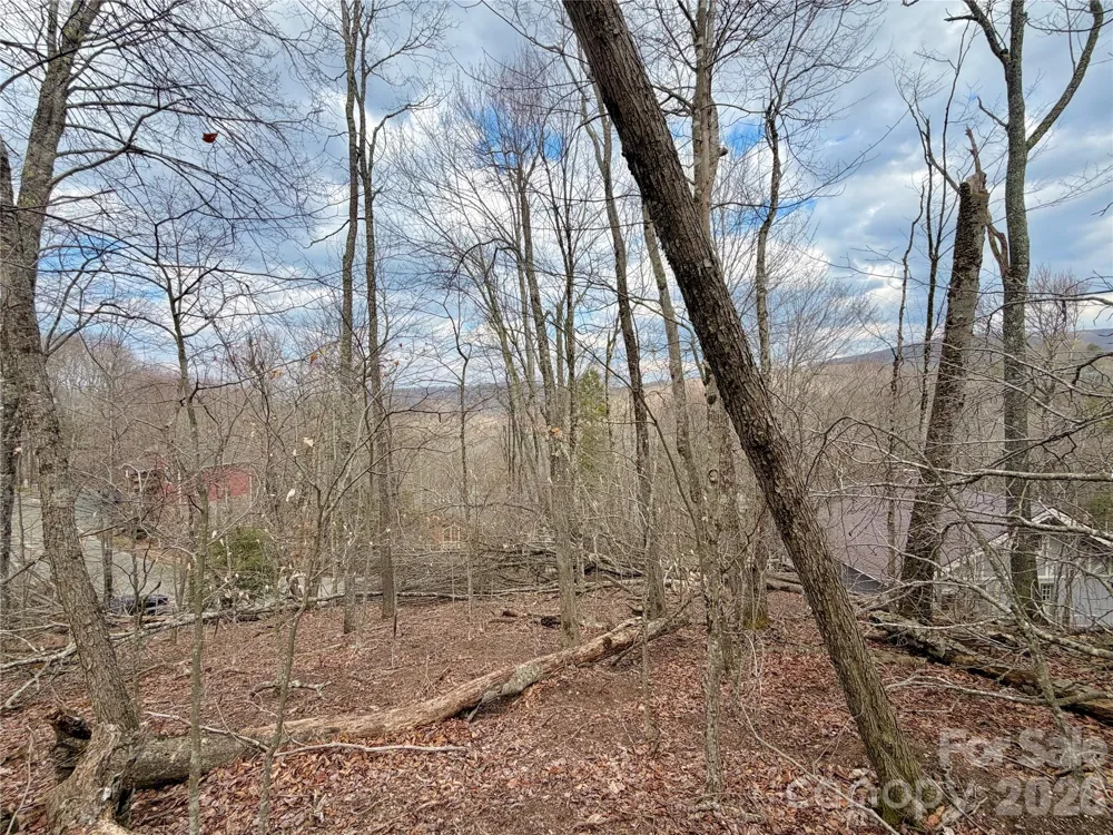 218 lake Road Beech Mountain, NC 28604