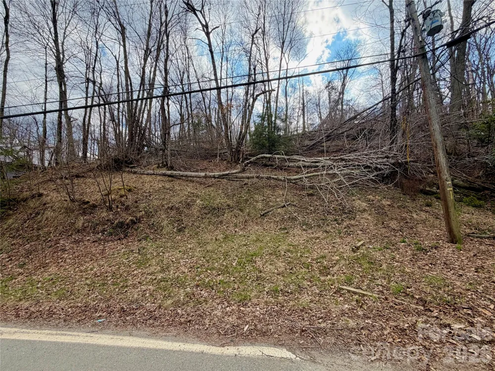 218 lake Road Beech Mountain, NC 28604
