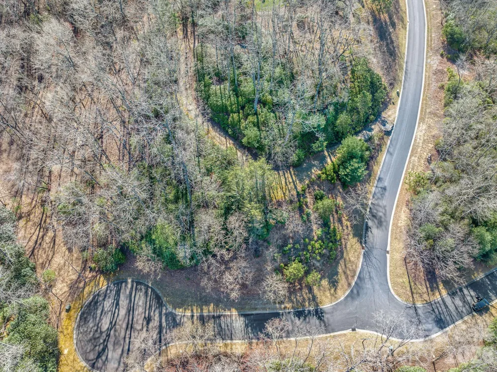 80 Running Deer Trail S #80 Horse Shoe, NC 28742