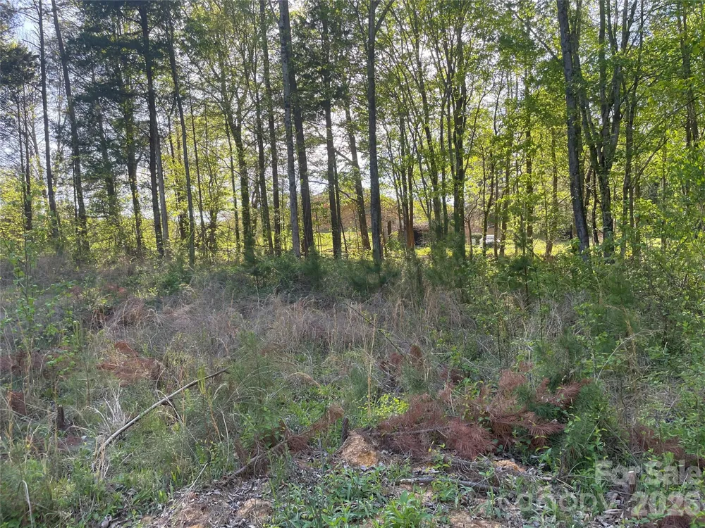 4006 Old Salisbury Concord Road Kannapolis, NC 28083