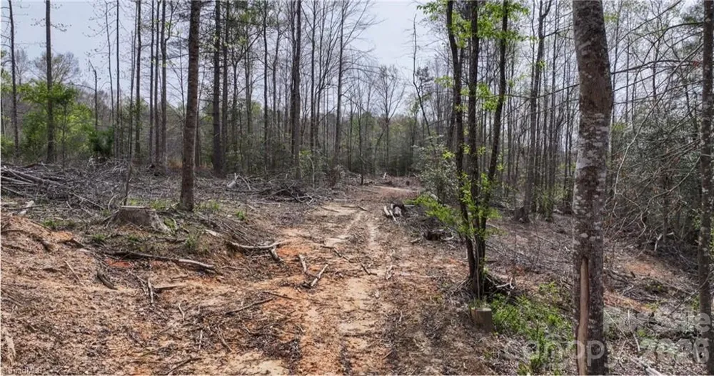 161 Queen Drive North Wilkesboro, NC 28659