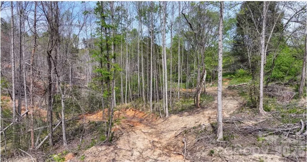 161 Queen Drive North Wilkesboro, NC 28659