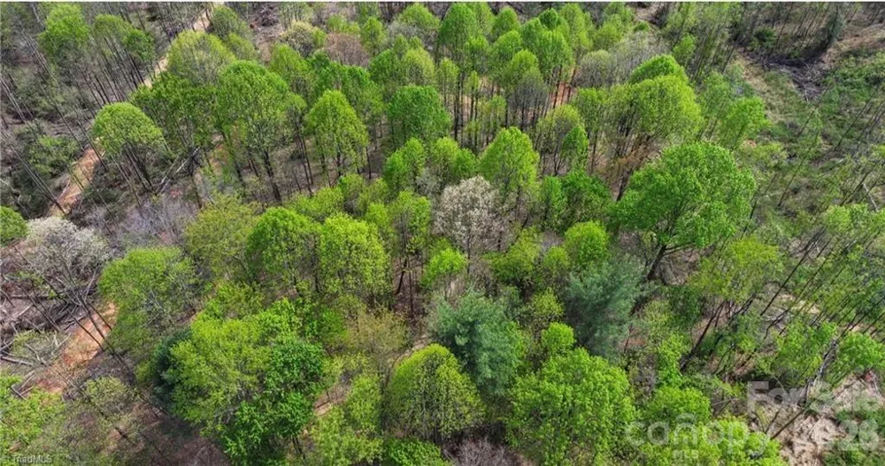 161 Queen Drive North Wilkesboro, NC 28659