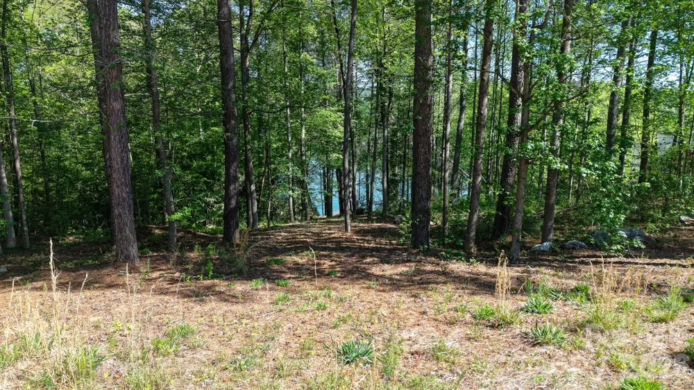 105 Beacon Ridge Drive Connelly Springs, NC 28612