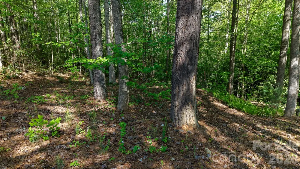 105 Beacon Ridge Drive Connelly Springs, NC 28612