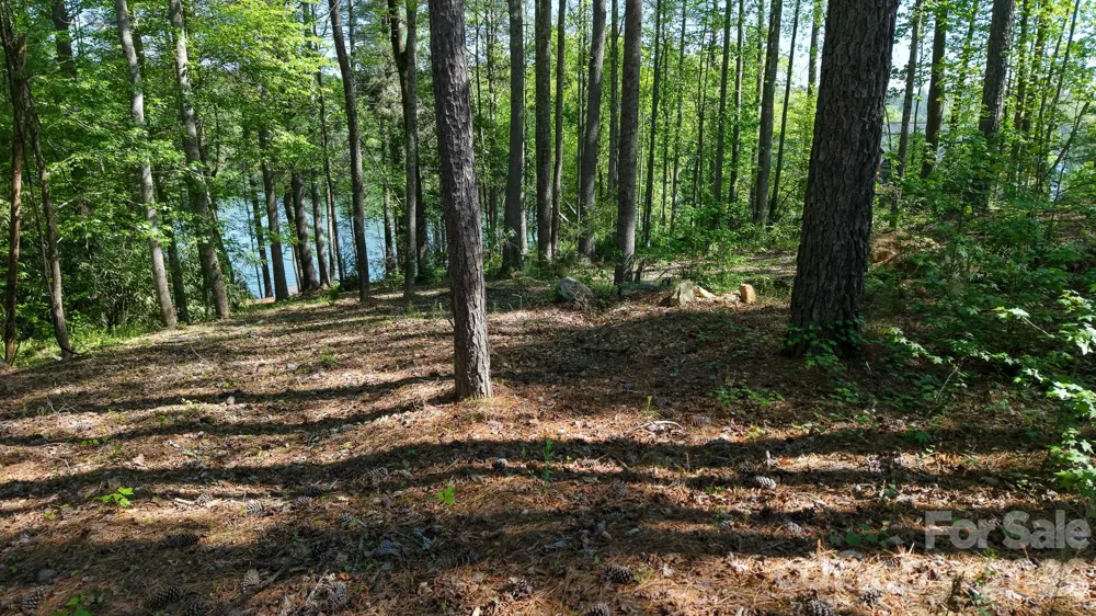 105 Beacon Ridge Drive Connelly Springs, NC 28612