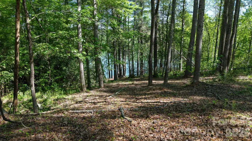 105 Beacon Ridge Drive Connelly Springs, NC 28612