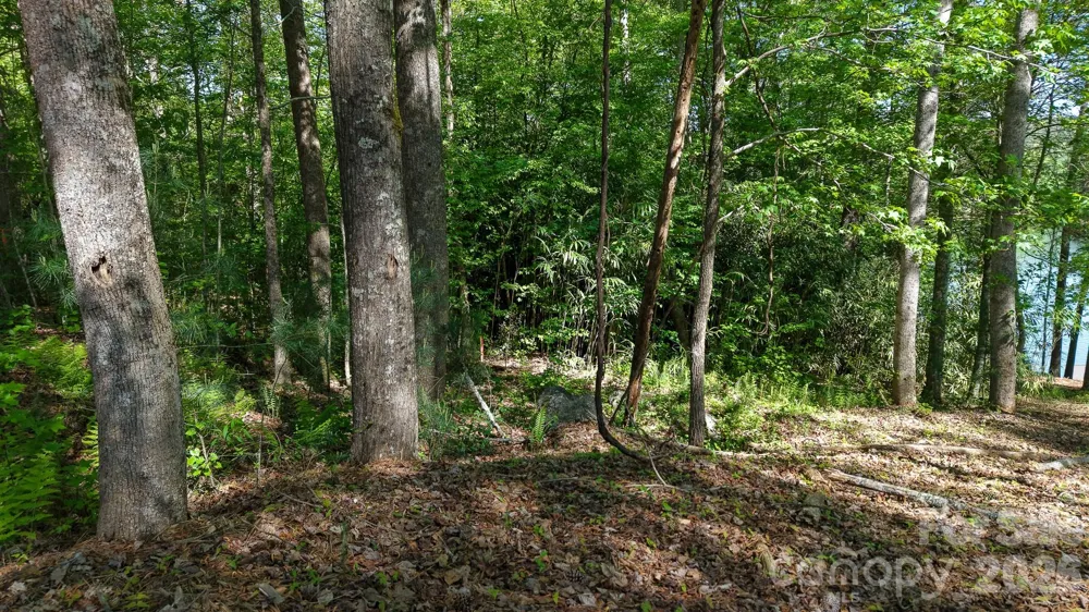 105 Beacon Ridge Drive Connelly Springs, NC 28612