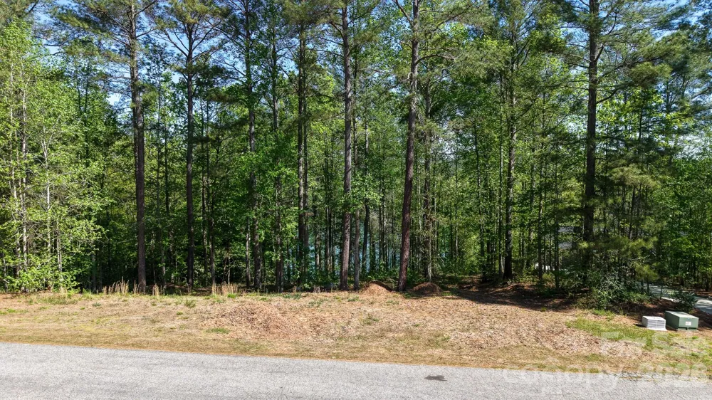 105 Beacon Ridge Drive Connelly Springs, NC 28612