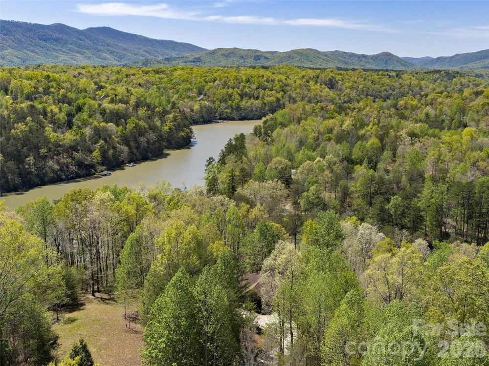 308 North Coast Drive Mill Spring, NC 28756