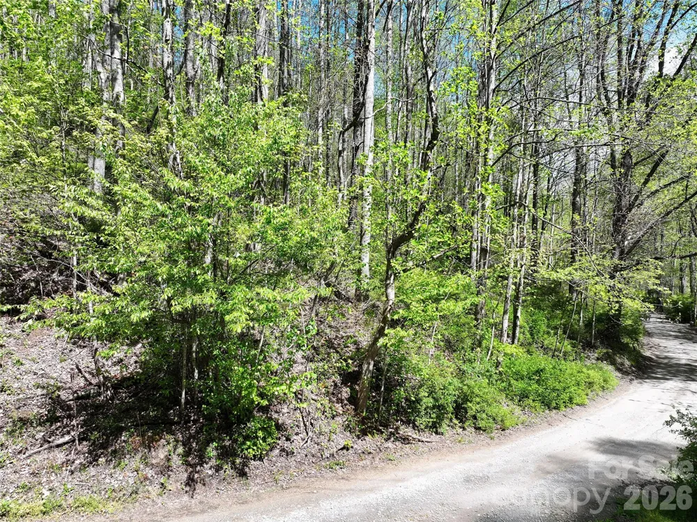 00 Hanks Road Waynesville, NC 28785