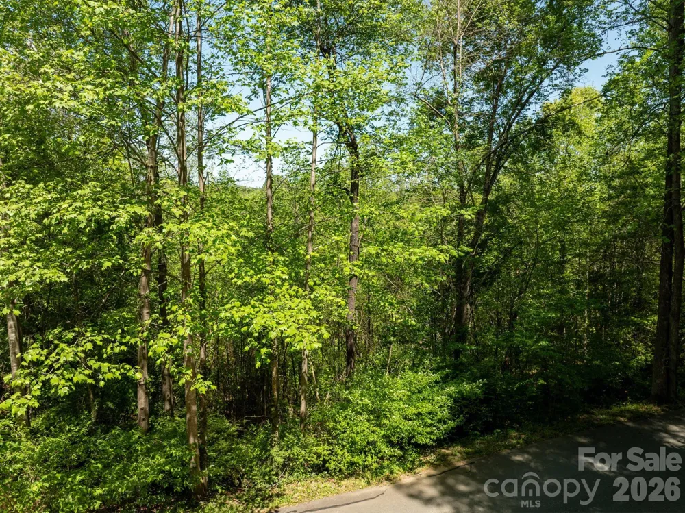TBD Rockwood Drive Lenoir, NC 28645