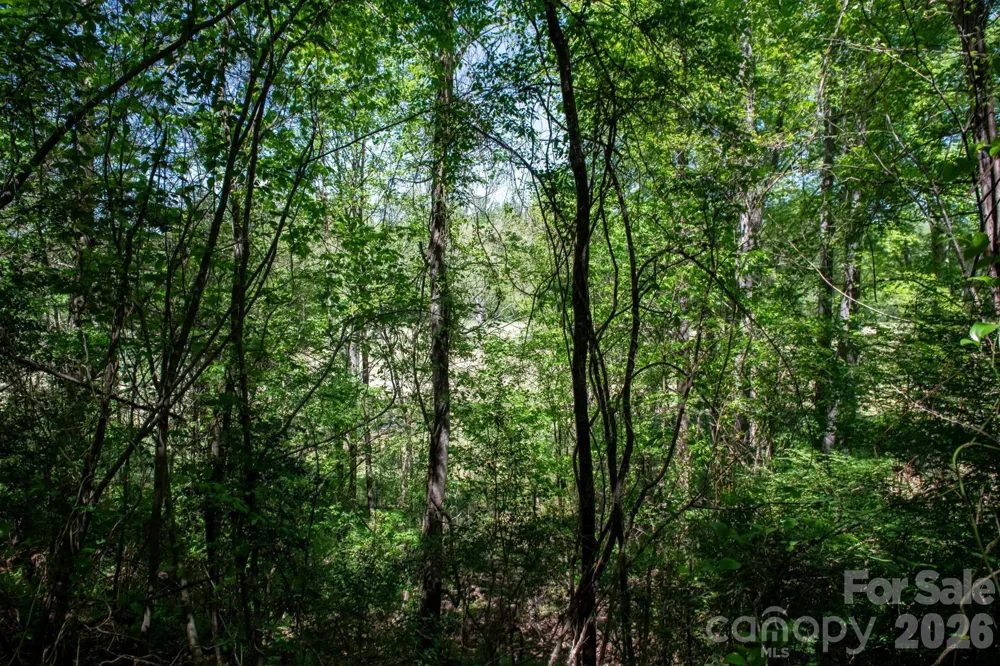 TBD Rockwood Drive Lenoir, NC 28645
